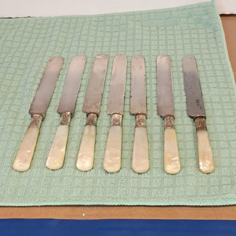 Mother of Pearl Flatware Set with Cream Handles
